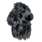 Black Poodle Hybrid Cover