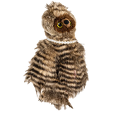 Hybrid Cover Owl